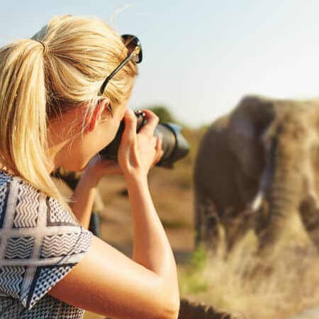 Header Fotografie Website erstellen - Frau fotografiert Elefant